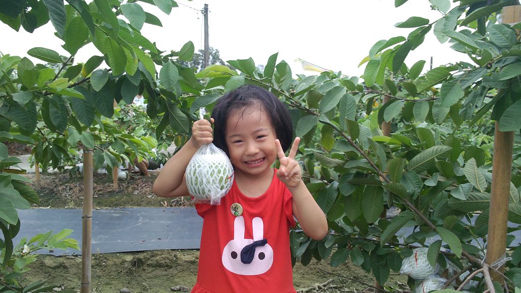 以趣味遊戲方式,讓孩子們將豐富的農業知識帶回家。 圖:高雄市農業局提供 以趣味遊戲方式,讓孩子們將豐富的農業知識帶回家。 圖:高雄市農業局提供