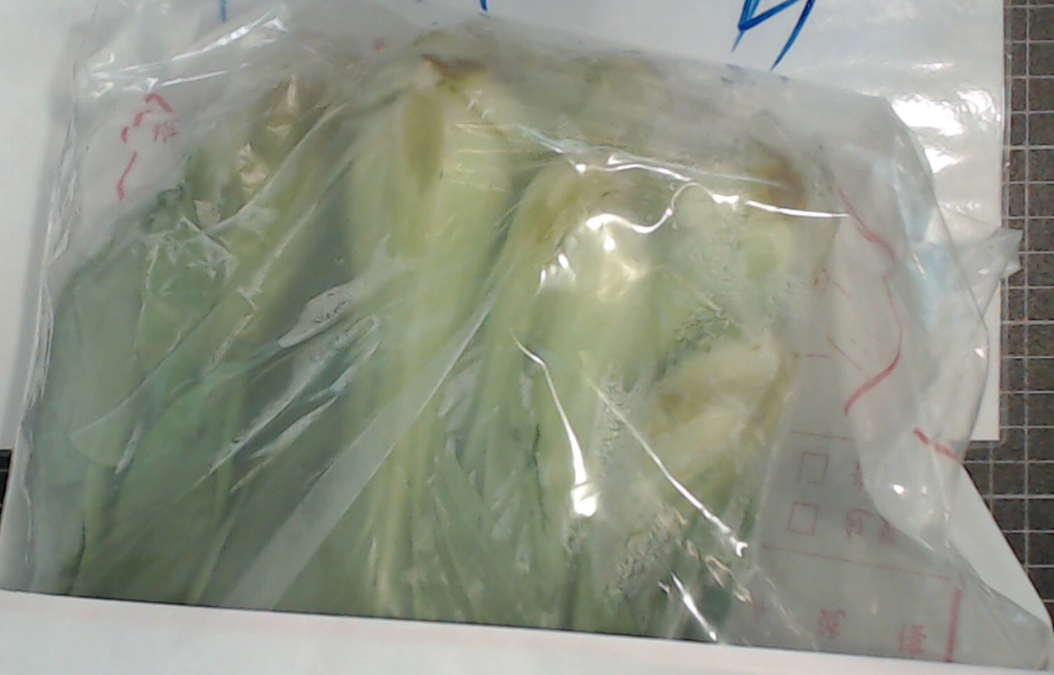 雲林縣荷包嶼合作農場的青江菜檢出殺蟲劑芬普尼超標 圖:台北市衛生局提供 雲林縣荷包嶼合作農場的青江菜檢出殺蟲劑芬普尼超標 圖:台北市衛生局提供