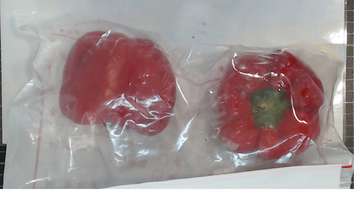 新鮮水果行的彩椒被驗出殺蟲劑可尼丁超標 圖:台北市衛生局提供 新鮮水果行的彩椒被驗出殺蟲劑可尼丁超標 圖:台北市衛生局提供