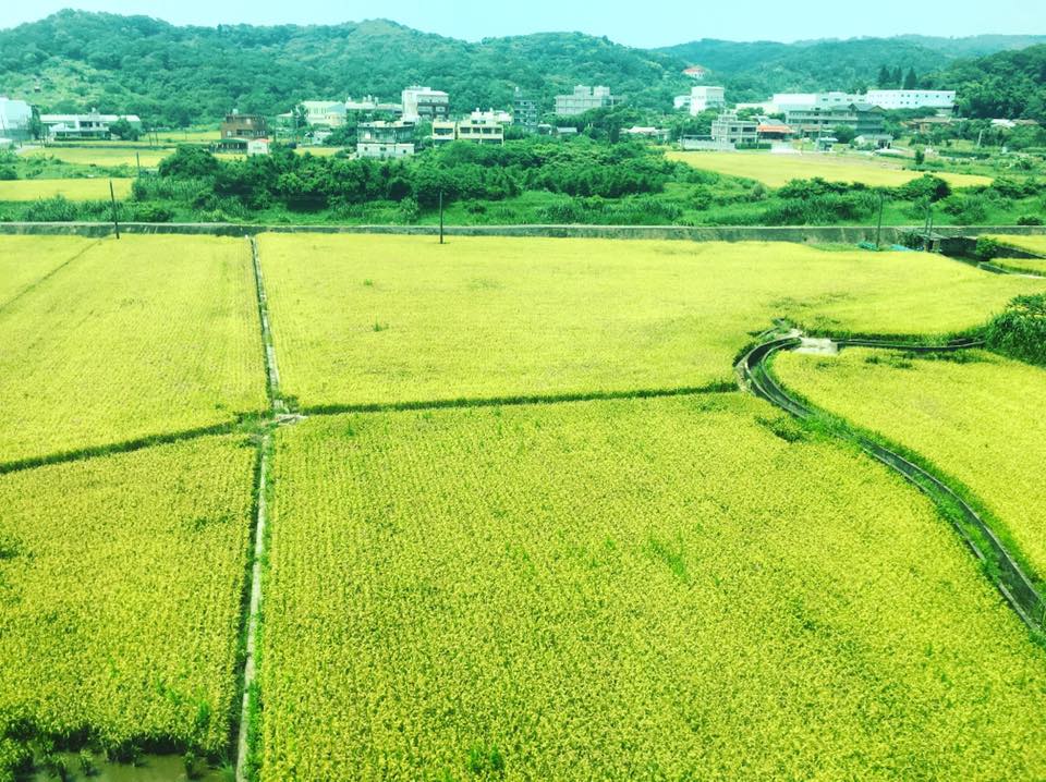 「2017桃園地景藝術節」,藝術家蕭凱文搭乘桃園機場捷運前往桃園駐村地,鏡頭捕捉到北部最大榖倉--桃園最美的阡陌。 圖:翻攝補囊臉書 「2017桃園地景藝術節」,藝術家蕭凱文搭乘桃園機場捷運前往桃園駐村地,鏡頭捕捉到北部最大榖倉--桃園最美的阡陌。 圖:翻攝補囊臉書
