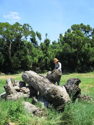 「2017桃園地景藝術節」駐地創作藝術家蕭凱文與12大根即將進行創作的漂流木。 圖:桃園市文化局提供 「2017桃園地景藝術節」駐地創作藝術家蕭凱文與12大根即將進行創作的漂流木。 圖:桃園市文化局提供