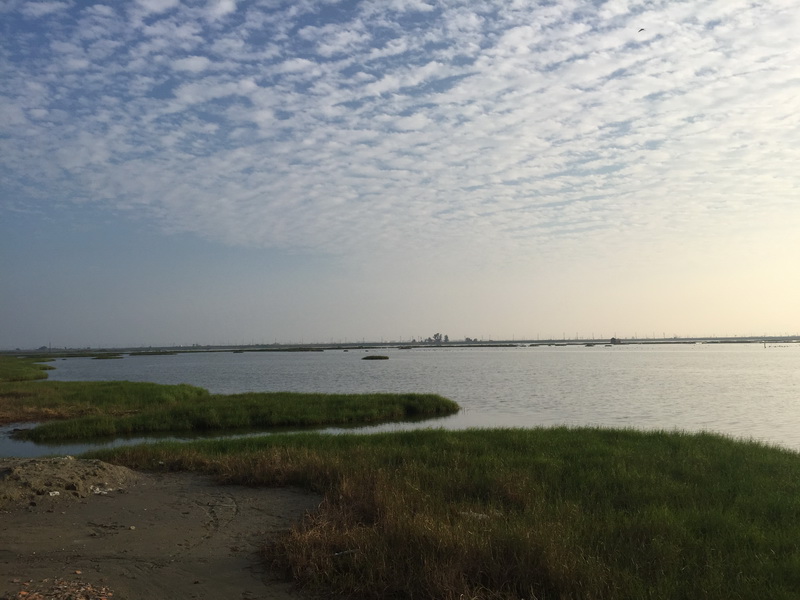 為保留濕地,並發展太陽光電,研究團隊提出替代場址的方案。 圖:翻攝成功大學網站 為保留濕地,並發展太陽光電,研究團隊提出替代場址的方案。 圖:翻攝成功大學網站