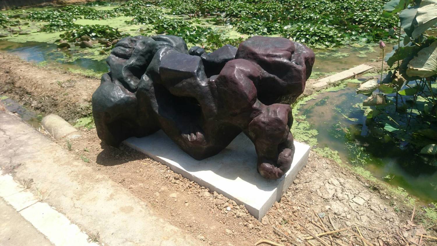 2017桃園地景藝術節,開南大學「秘境中的生命之流」雕塑品坐落於蓮花池畔,與水生生物相結合,表達生命演化的能量。 圖:桃園市府文化局提供 2017桃園地景藝術節,開南大學「秘境中的生命之流」雕塑品坐落於蓮花池畔,與水生生物相結合,表達生命演化的能量。 圖:桃園市府文化局提供