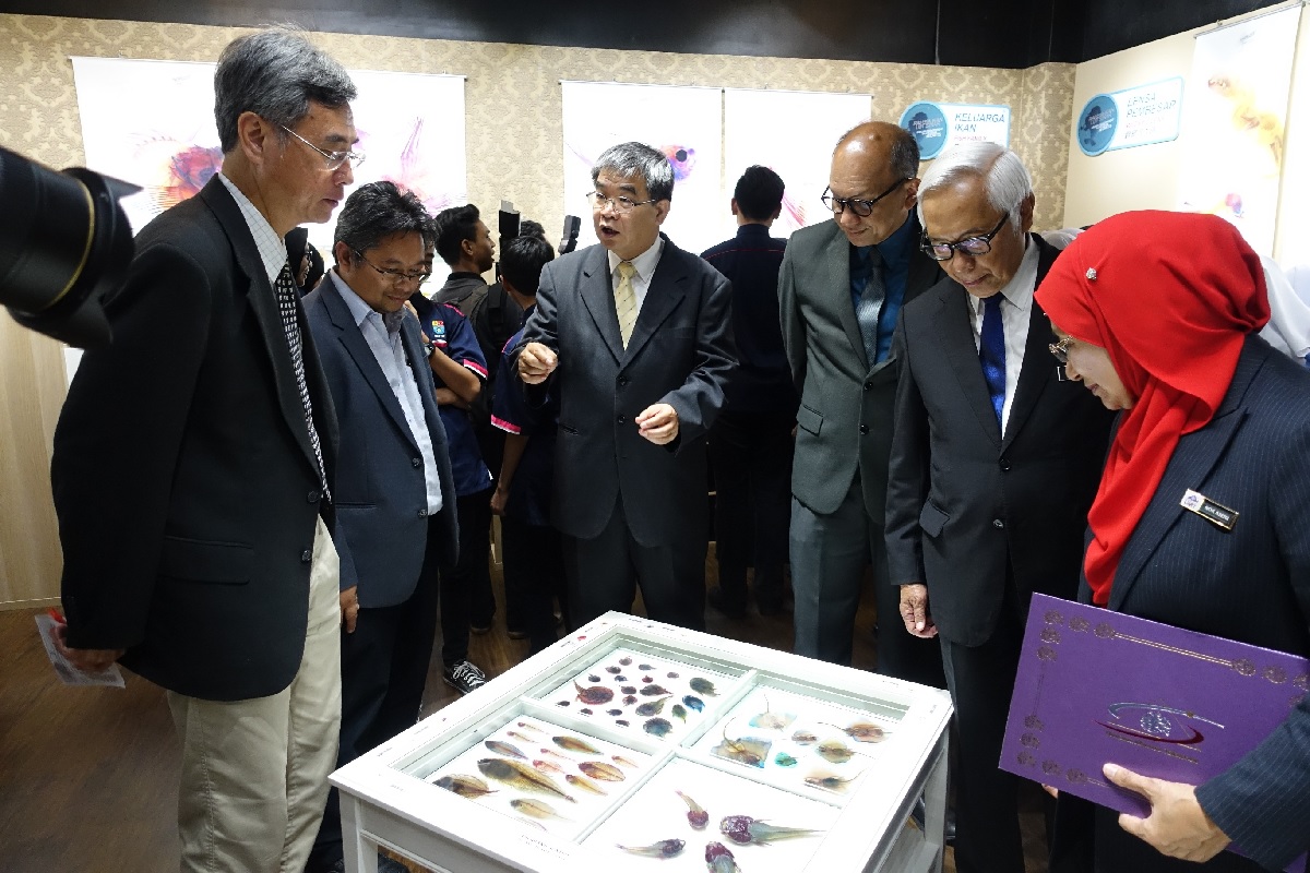 國立海生館前進馬來西亞舉辦科普展,五百多件標本展示,非常吸晴。 圖:海生館/提供 國立海生館前進馬來西亞舉辦科普展,五百多件標本展示,非常吸晴。 圖:海生館/提供