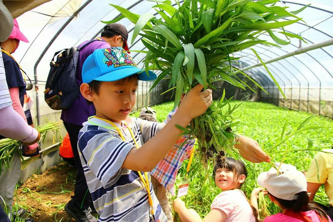 「桃園自在遊」為民眾預訂了輕鬆的秋季小旅行,不僅可以欣賞桃園美景,還可以自己DIY做美食,秋日心體驗,就在桃園等你來! 「桃園自在遊」為民眾預訂了輕鬆的秋季小旅行,不僅可以欣賞桃園美景,還可以自己DIY做美食,秋日心體驗,就在桃園等你來!