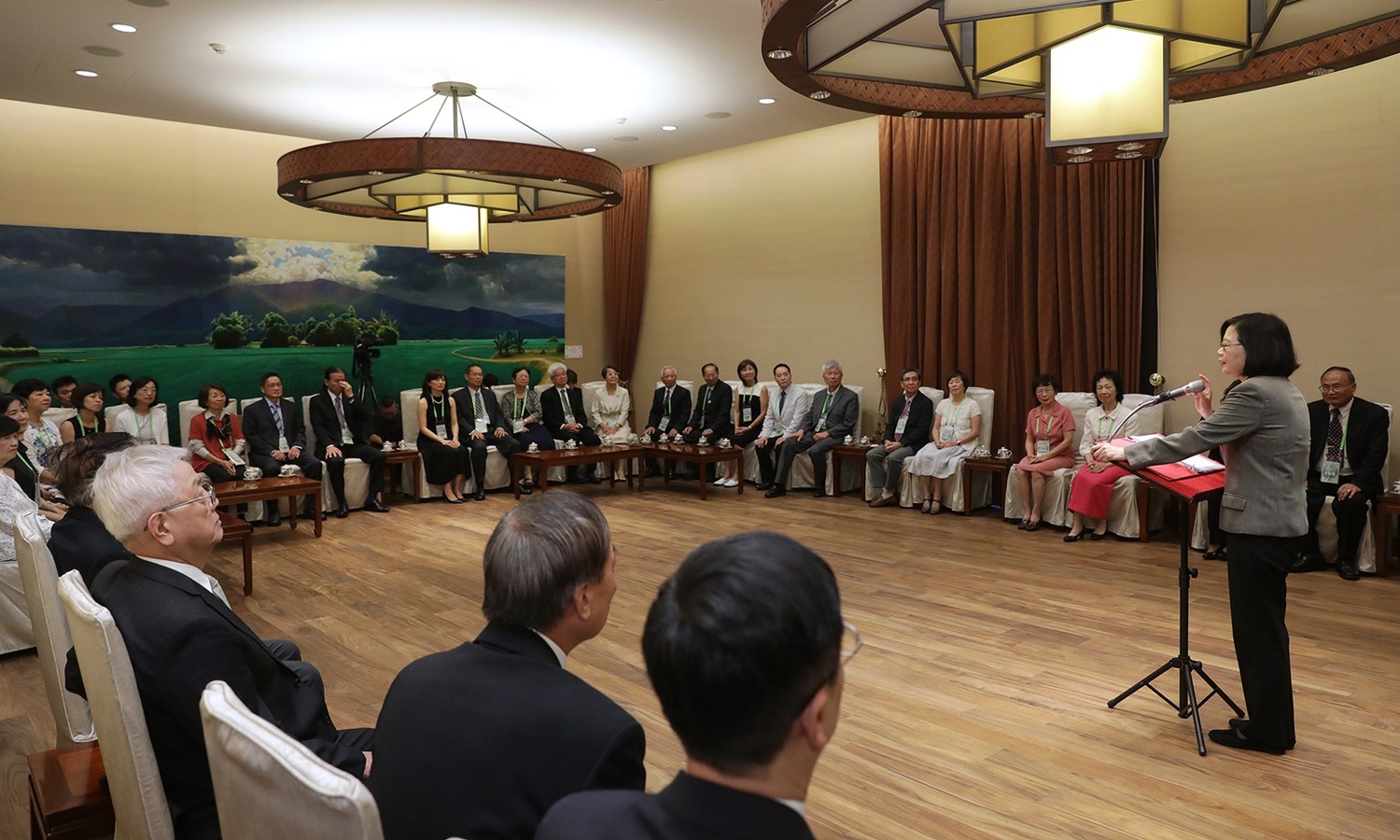 總統蔡英文12日接見台僑時說明執政以來所碰到的困難。 總統蔡英文12日接見台僑時說明執政以來所碰到的困難。