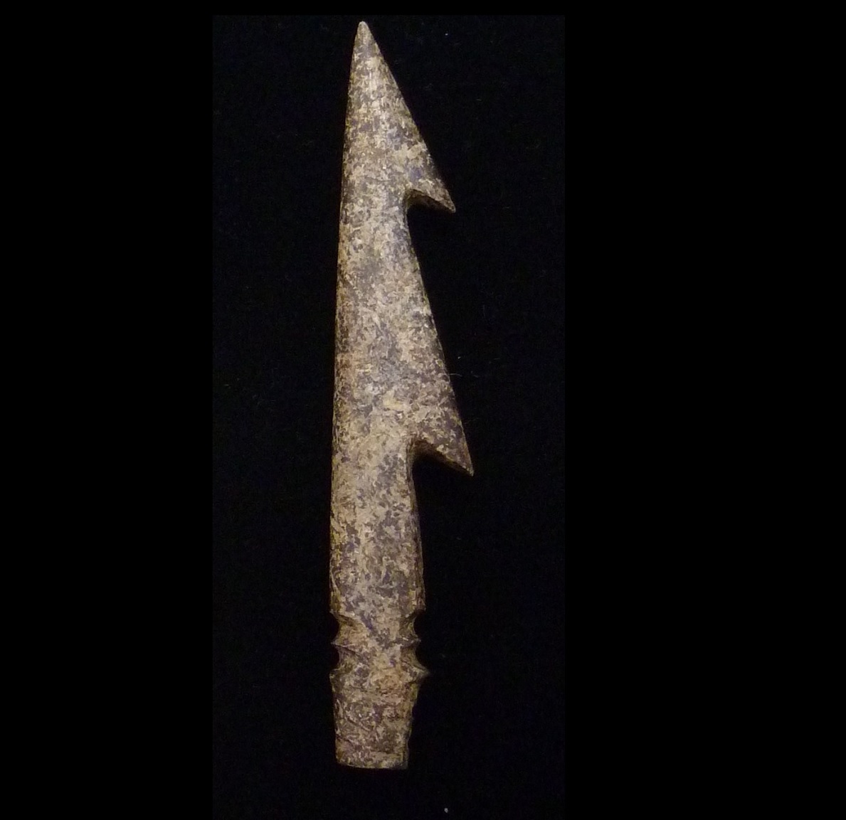 亮島考古隊在島尾 2號遺址發掘出土,由獸骨磨製而成精緻漁叉,估計距今七千五百年歷史。馬祖連江縣政府準備申報國寶。 圖:陳香蘭/攝 亮島考古隊在島尾 2號遺址發掘出土,由獸骨磨製而成精緻漁叉,估計距今七千五百年歷史。馬祖連江縣政府準備申報國寶。 圖:陳香蘭/攝