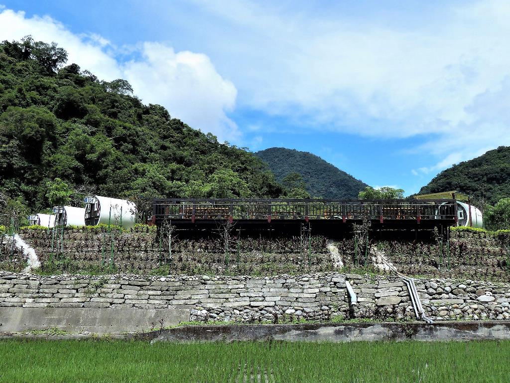 用涵管做旅舍,在西部不稀奇,但東部少見,南安這家最大持色是,標榜住在櫻花樹下和黑熊伴睡;商家在每個水管房間旁都種有櫻花樹,不是一般的緋寒櫻,而且是吉野和八重櫻,花開起來很漂亮,蜜蜂很多。 圖 : 邱顯明 / 攝影 用涵管做旅舍,在西部不稀奇,但東部少見,南安這家最大持色是,標榜住在櫻花樹下和黑熊伴睡;商家在每個水管房間旁都種有櫻花樹,不是一般的緋寒櫻,而且是吉野和八重櫻,花開起來很漂亮,蜜蜂很多。 圖 : 邱顯明 / 攝影