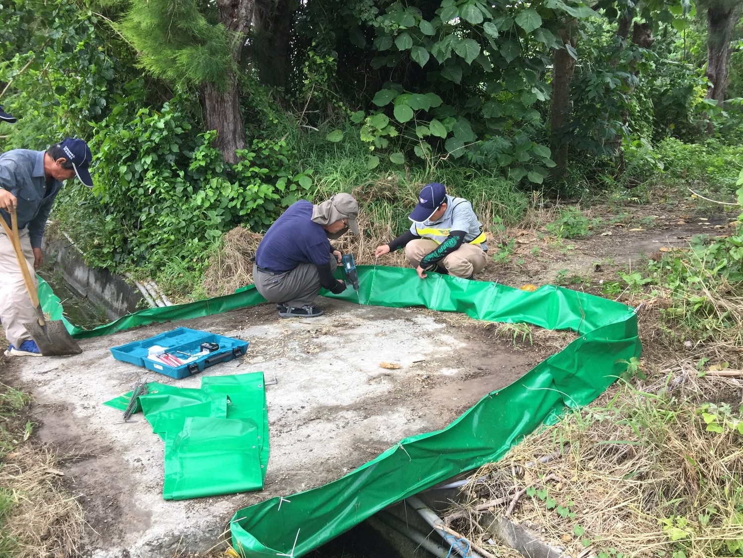公路總局也與清華大學教授曾晴賢合作於該路段前後100 尺沿側溝架設帆布圍牆,利用陸蟹無法攀爬帆布光滑面設計,阻擋陸蟹穿越馬路再利用陸蟹喜好攀爬粗糙面特性,於箱涵配置繩梯引導陸蟹安全降海產卵。 圖 : 公路總局 / 提供 公路總局也與清華大學教授曾晴賢合作於該路段前後100 尺沿側溝架設帆布圍牆,利用陸蟹無法攀爬帆布光滑面設計,阻擋陸蟹穿越馬路再利用陸蟹喜好攀爬粗糙面特性,於箱涵配置繩梯引導陸蟹安全降海產卵。 圖 : 公路總局 / 提供