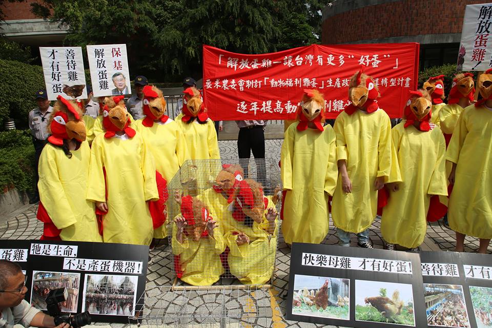 台灣動物社會研究會成員及20多位來自台大、師大、中原等校的學生今(16)日上午身著雞裝,到農委會前陳情。圖2之2:林雨佑/攝 台灣動物社會研究會成員及20多位來自台大、師大、中原等校的學生今(16)日上午身著雞裝,到農委會前陳情。圖2之2:林雨佑/攝
