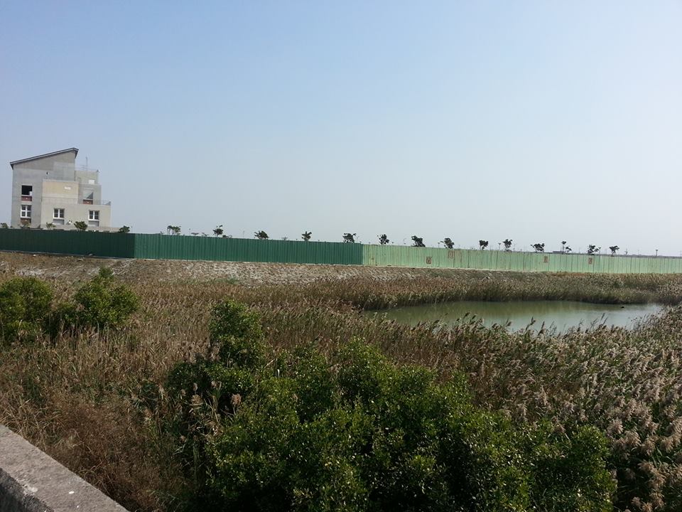 台南大學七股校區,原是漁塭地,地勢低漥,120公傾校地低於海平面兩三公尺,經過多年整地、填平,與鄰地形成對比,但仍可以看出原本地貌。圖:陳江鈴/攝 台南大學七股校區,原是漁塭地,地勢低漥,120公傾校地低於海平面兩三公尺,經過多年整地、填平,與鄰地形成對比,但仍可以看出原本地貌。圖:陳江鈴/攝