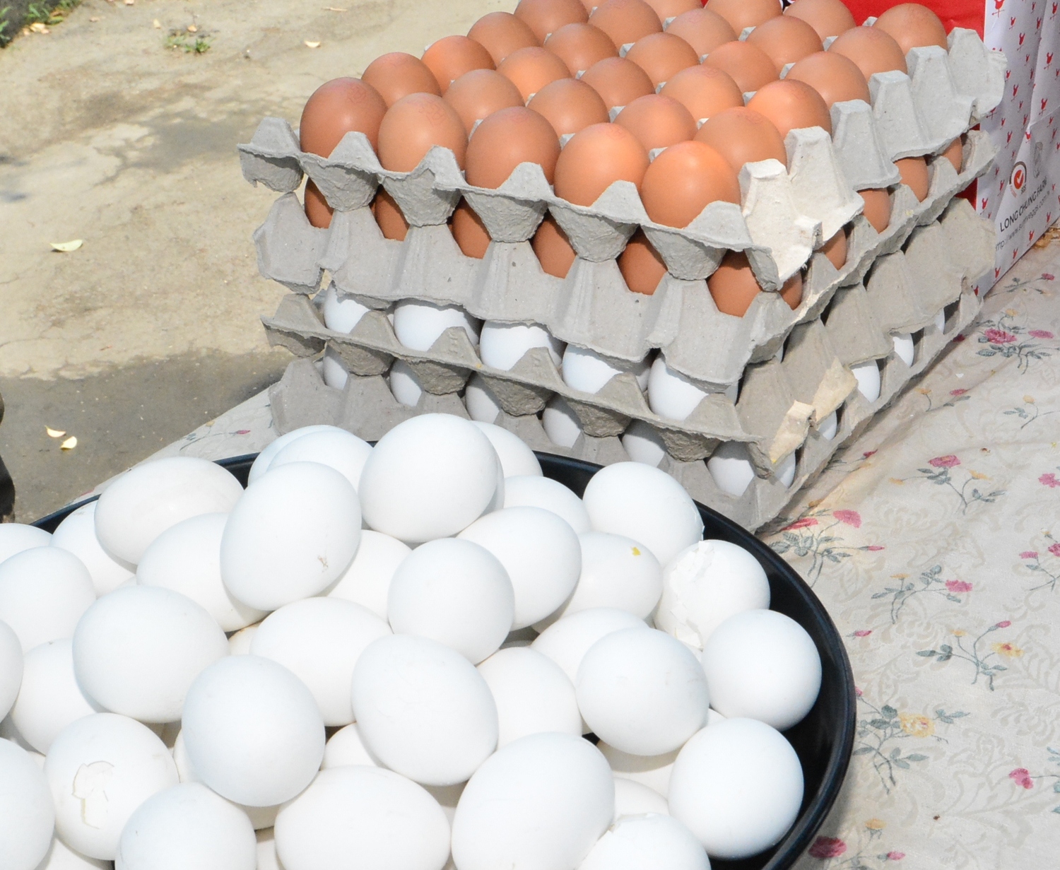 農委會今（13）日表示，目前雞蛋生產已經恢復正常，且產量充足無虞   圖：彰化縣政府/提供 