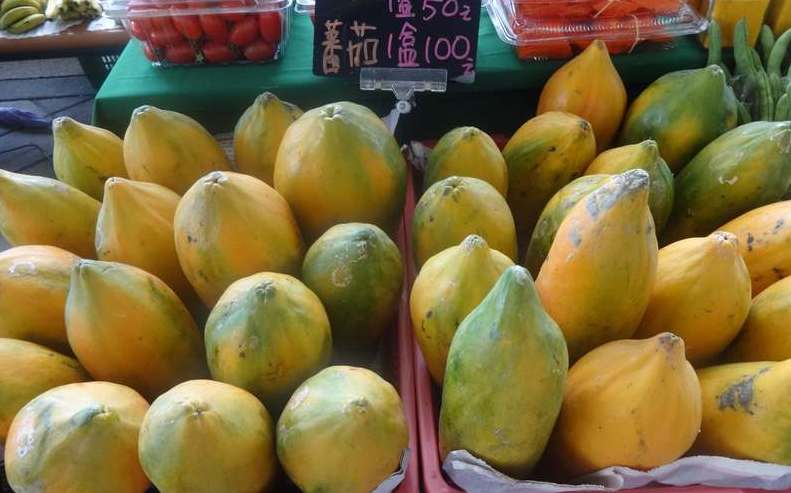 最營養的水果 市面常見木瓜品種 挑選方法一次看 生活 新頭殼newtalk