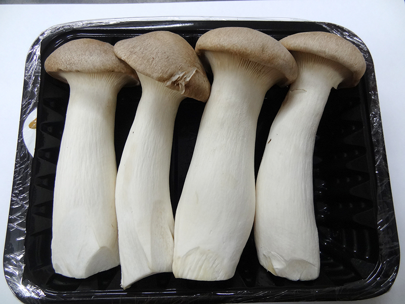 杏鮑菇的菌肉肥厚，菌柄結實呈乳白色，而且質地細膩脆嫩，吃起來的口感就像是鮑魚   圖：農委會農試所/提供