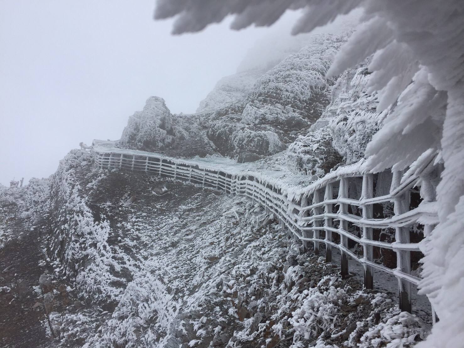 玉山為台灣第一高峰，圖為玉山的霧淞景觀。   圖：翻攝自玉山國家公園臉書