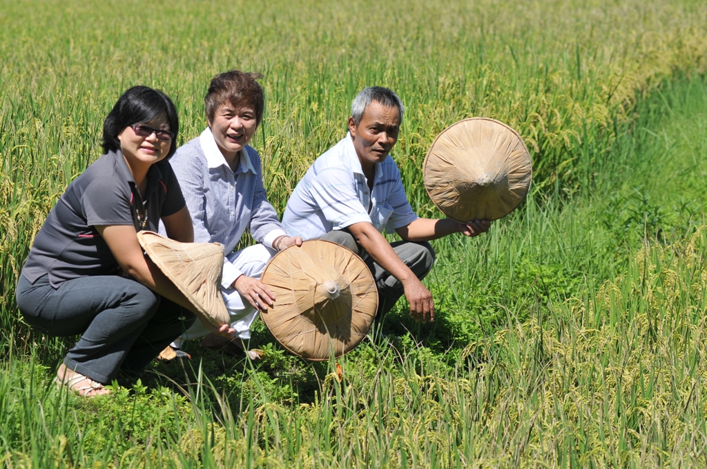 喻碧芳也曾走訪好友梁美智（圖左）所經營的花蓮銀川米有機農場，在田野中與有機稻農合影。    圖：何忠誠/攝影