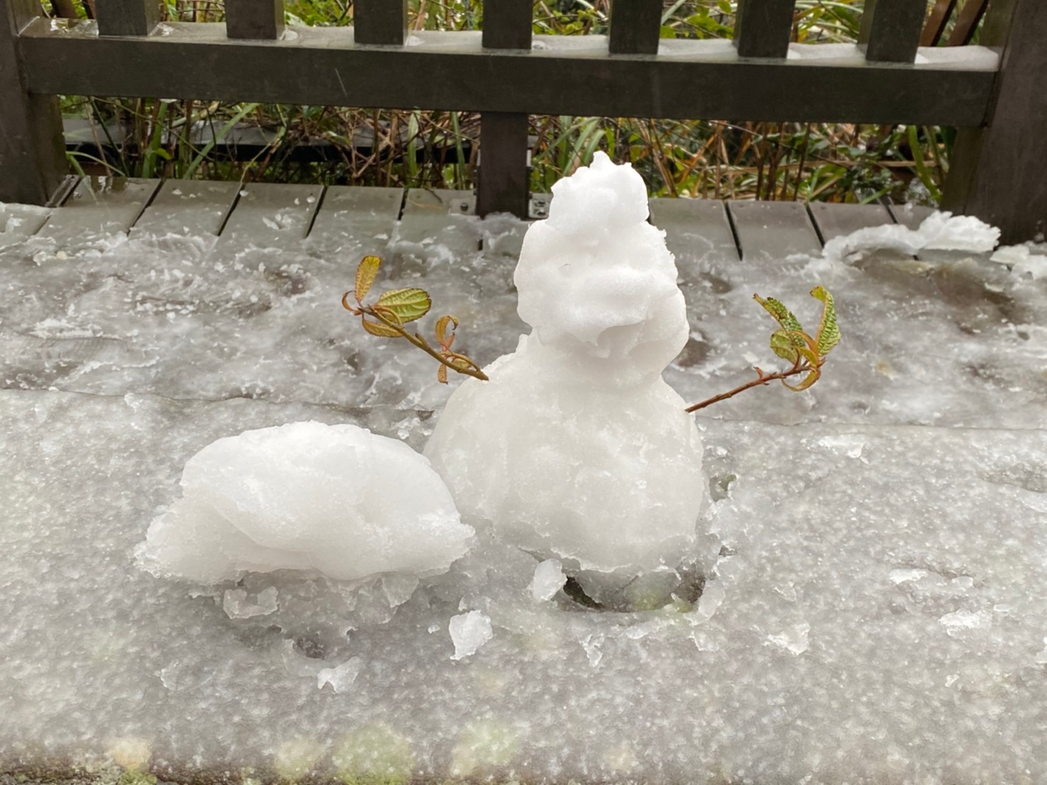 那一年的最低溫！霸王寒流冰凍全台  史上最冷連嘉義都大雪