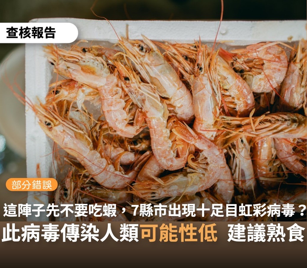 網傳蝦子有 十足目虹彩 病毒查核中心 去年新聞染疫蝦早銷毀 社會 新頭殼newtalk