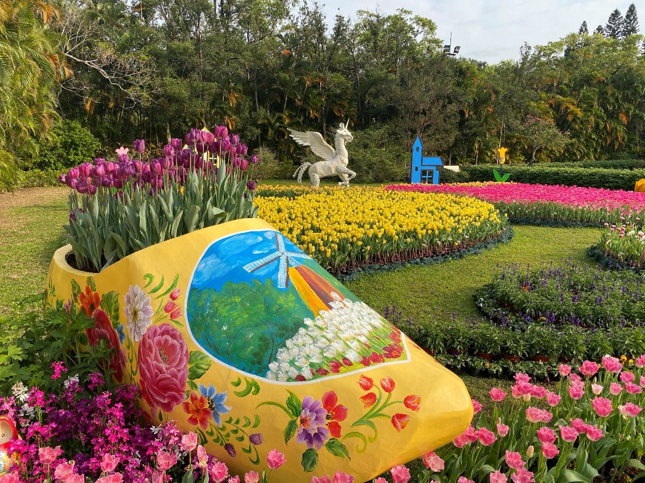 鬱金香展。 圖：台北市公園處 / 提供