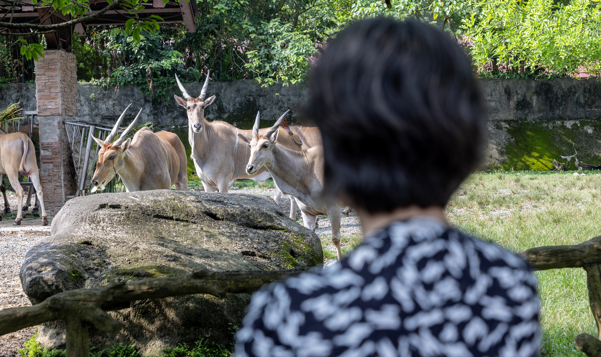  副總統蕭美琴上午到訪台北市立動物園。 圖：總統府提供 