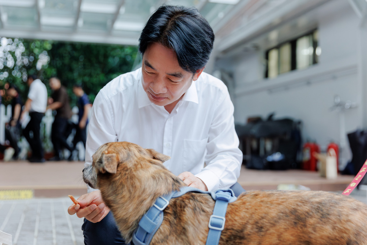 總統賴清德迎來家中新成員斑斑。 圖：總統府提供 