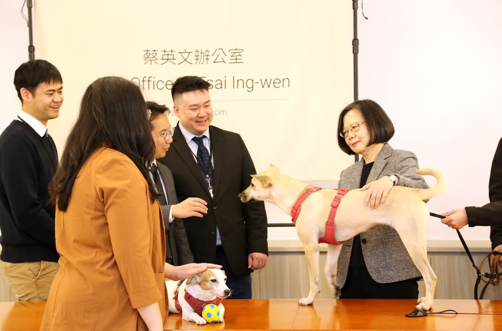  前總統蔡英文與哈佛、麻省理工學院訪團會面，暢談台灣民主、改革、國際情勢與獨特機遇。 圖：蔡英文辦公室提供 