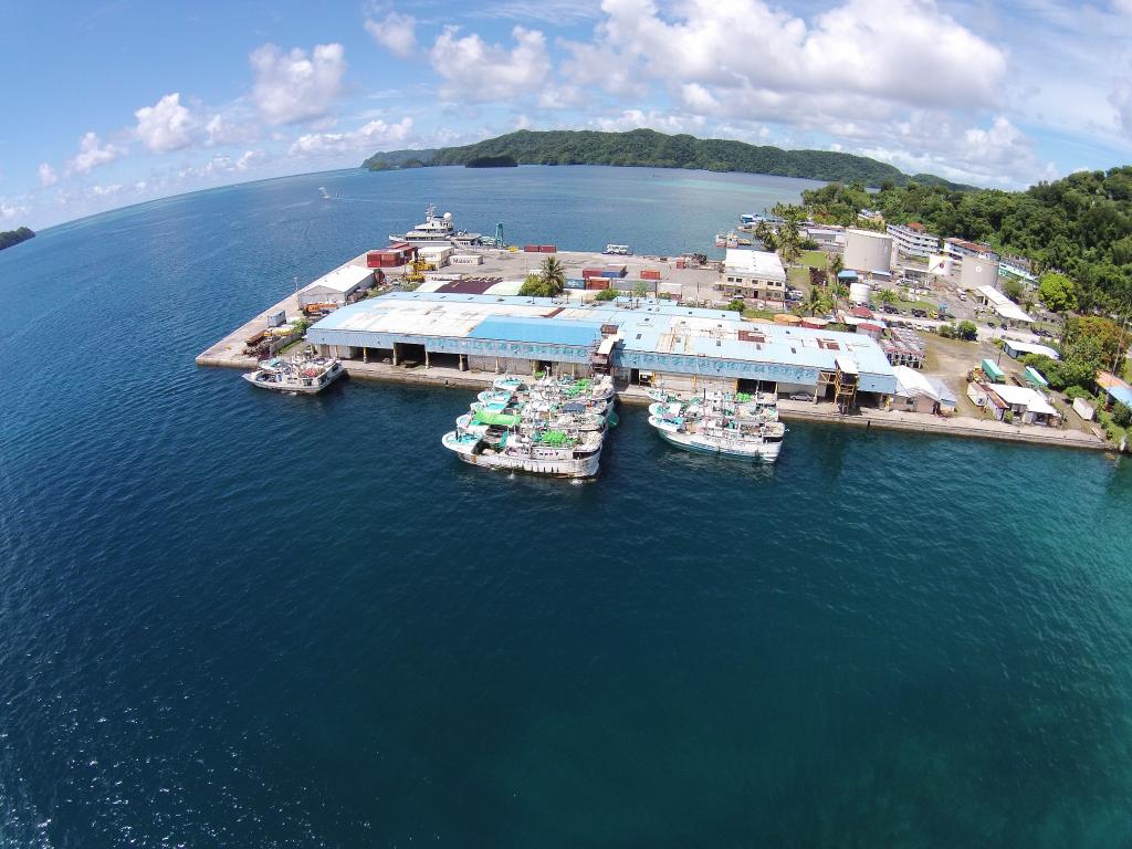  太子集團在帛琉的投資多集中於關鍵基礎設施附近，如科羅港（Koror Port）、帛琉國際機場與雷達站，且享有長達 99 年的土地租期。​ 圖:擷自X帳號@mmerrifield 