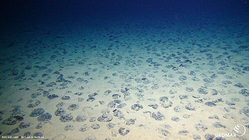  多金屬結核（Polymetallic nodules）在海床底是珍貴的經濟礦物。 圖：翻攝自維基百科 
