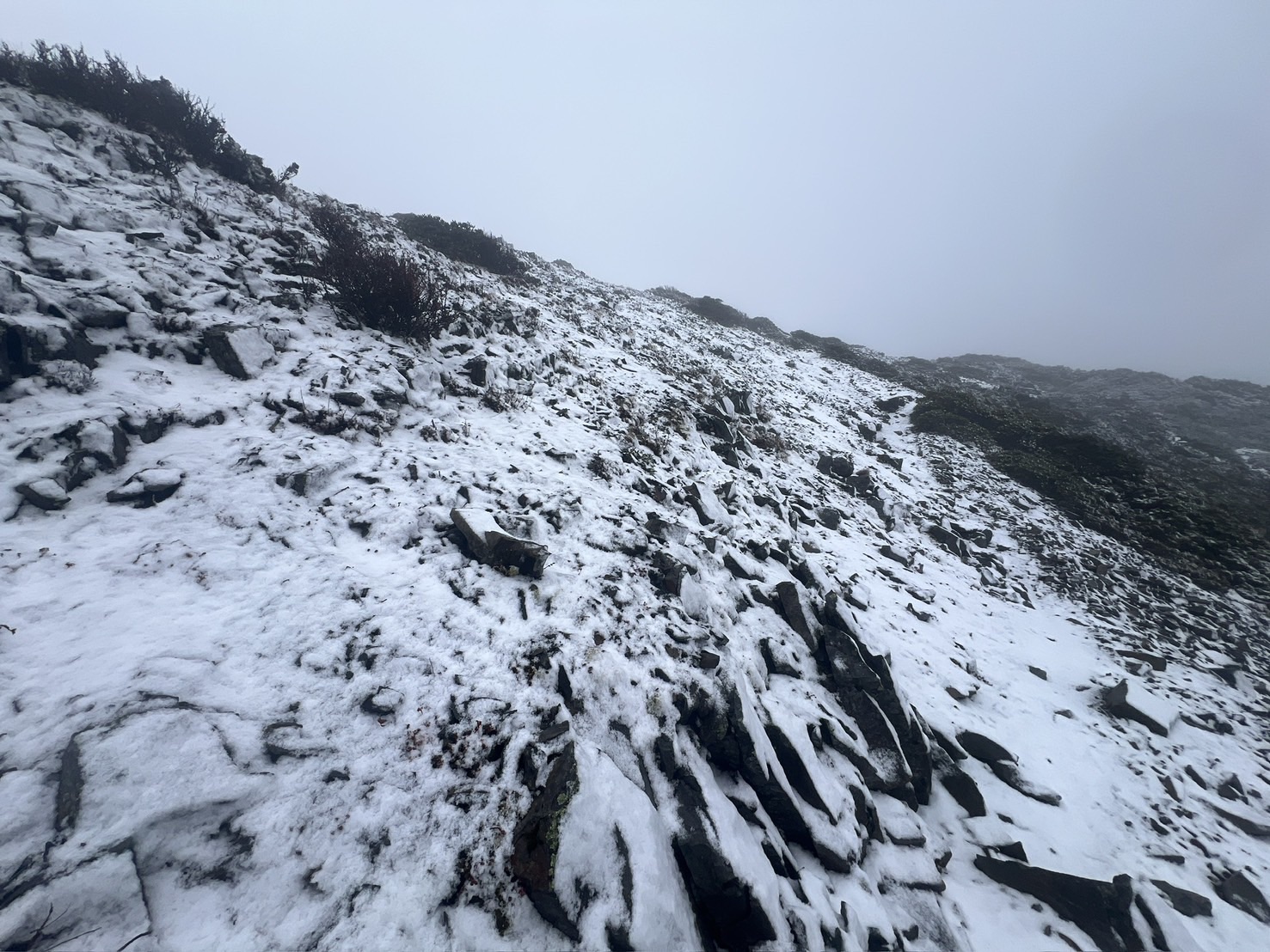  雪山北峰至雪山主峰之間的稜線地區，於今日早上 7 點多記錄到降雪景象。 圖：翻攝自雪霸國家公園官網 