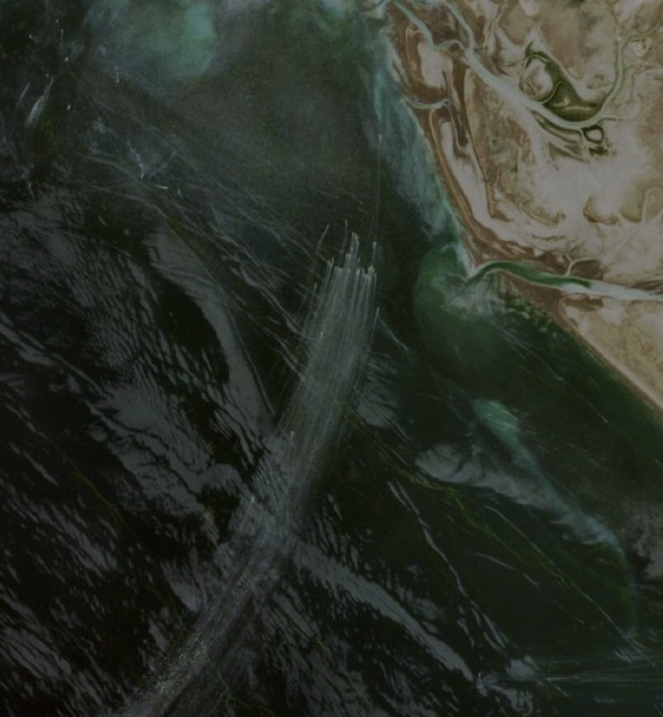 （影）川普稱伊「75 %目標已擊中、美封鎖100%有效」 伊海軍護一船闖關成功