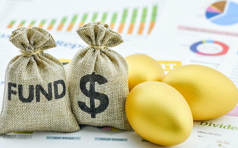 6月基金、ETF「新兵」募集 美股標的佔4檔最多 009823、009824今起開募