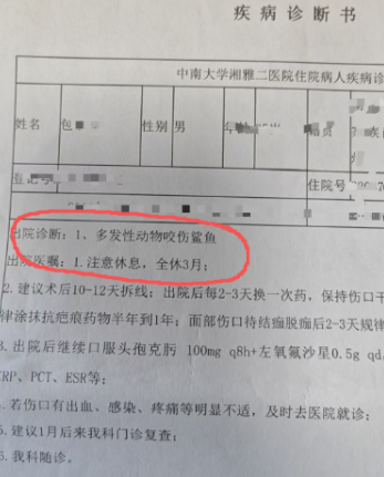  長沙男子傷病診斷書。 圖：翻攝自新浪網 