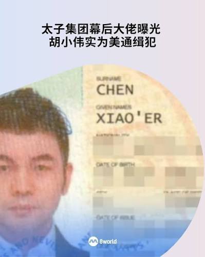 太子集團首腦陳志落網後，包含二把手胡小偉在內的 5 名核心高管逃往日本時遭當地警方逮捕。 圖：翻攝自@cskun1989 