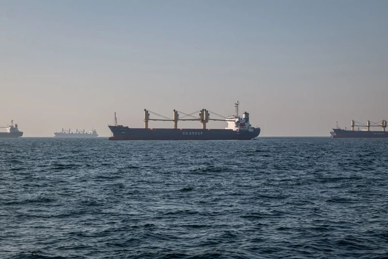 澤連斯基指出，埃及、土耳其、阿聯與印度等國都希望維持黑海航運安全，因為海上衝突一旦擴大，可能進一步影響糧食、能源及其他重要商品供應。 圖：翻攝自@gaurav_kochar 