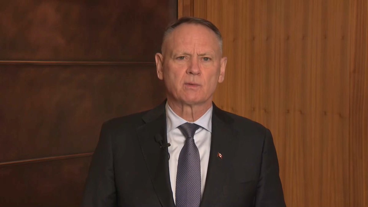  加拿大國防部長麥堅迪（ David McGuinty ）。 圖：翻攝自@lookner 