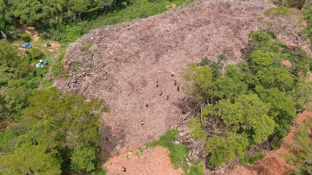 三義山坡地遭棄置逾萬噸廢樹枝 苗栗檢起訴12人