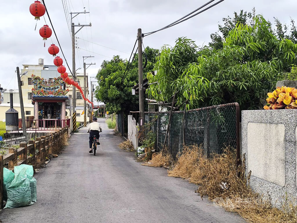 台中養豬場疑非洲豬瘟 老農嘆破產、兒子找工作
