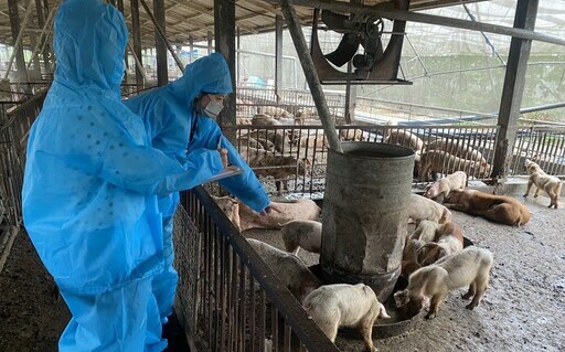 反罷豬農遭酸「現世報」！藍白支持者急護航反被嗆：自尋果報不能笑嗎