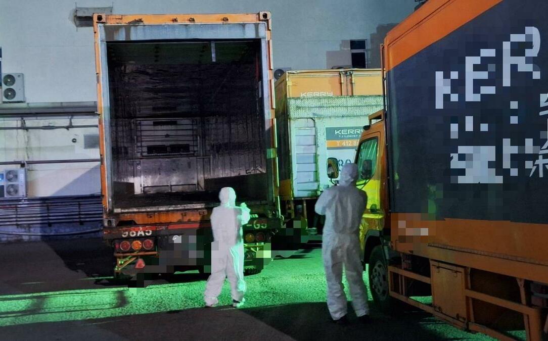 大榮貨運規避調查問題豬肉去向 高市衛生局可依法裁罰最高300萬