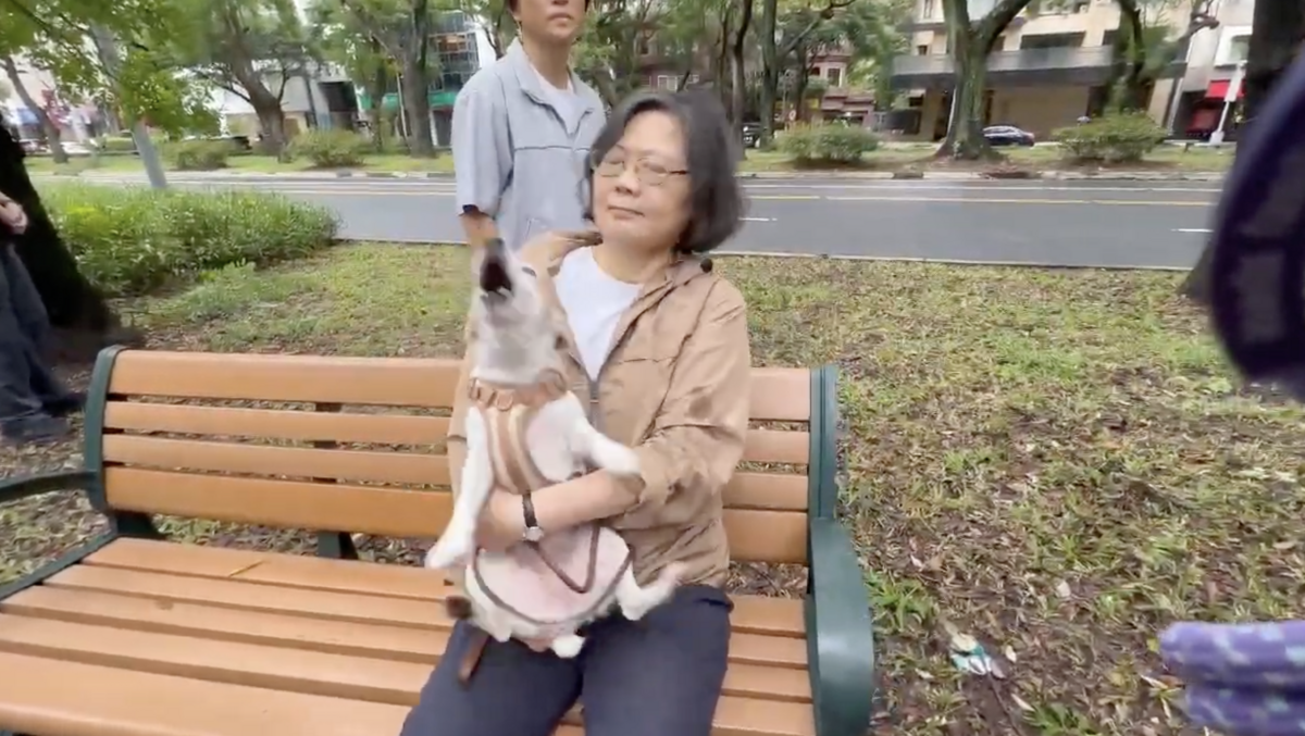  樂樂看到其他狗大叫，讓蔡英文直說沒面子。 圖：蔡英文辦公室/提供 