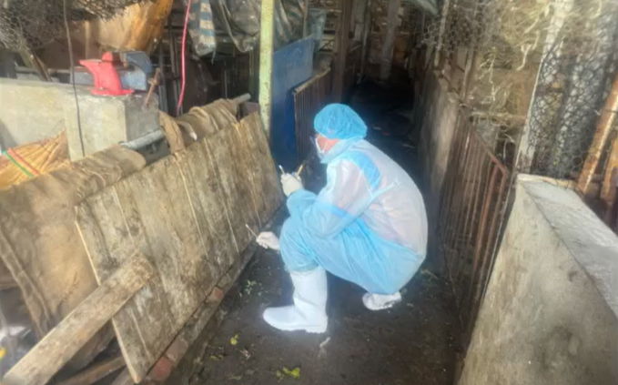 台中豬瘟場環境堪憂!杜文珍揭「恐讓病毒傳播」:媒體、民眾勿靠近