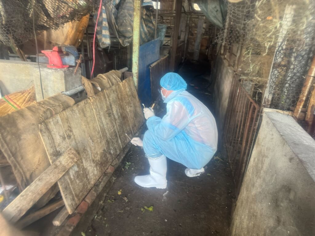 台中地檢傳喚豬農紀姓獸醫動保處人員 4人訊後請回