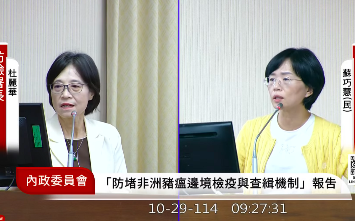 非洲豬瘟》農業部答詢遭質疑避重就輕 蘇巧慧怒斥「我問不下去了」