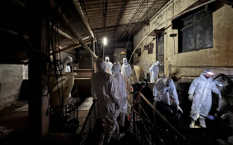 化學兵進場前又發現3處陽性反應!台中市府2次清消無用功