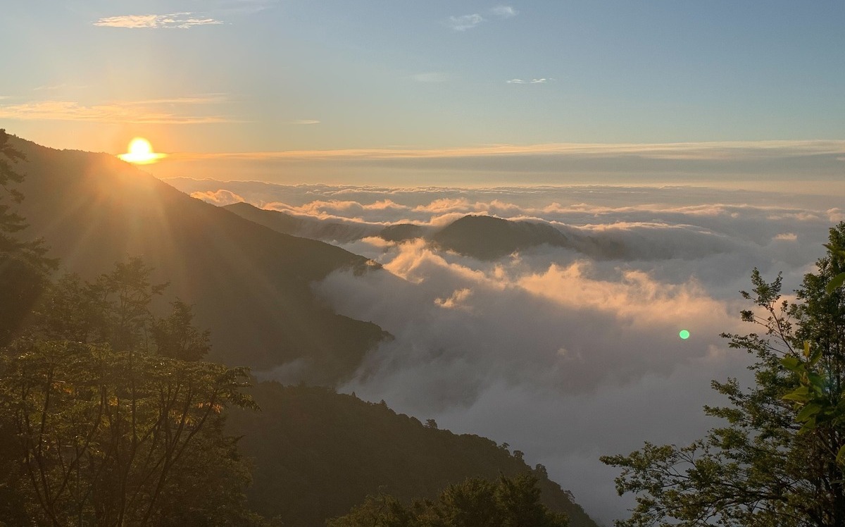 曾遭大雨沖毀!觀霧國家森林遊樂區2步道11月重新開放