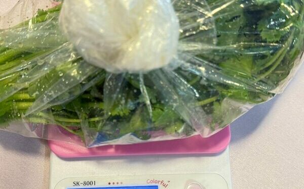 北市生鮮抽驗結果!內湖知名餐廳 香菜檢出10項農藥殘留