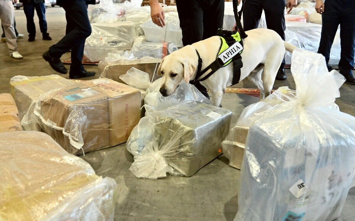 狂佔91%! 歐盟提早對150歐元以下包裹徵稅 中國電商要倒大楣了