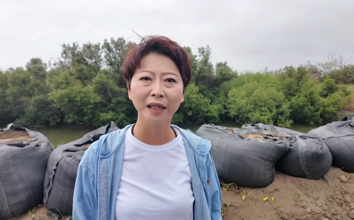 盼重現台南光榮與自信 陳亭妃完成登記:我就是最強母雞