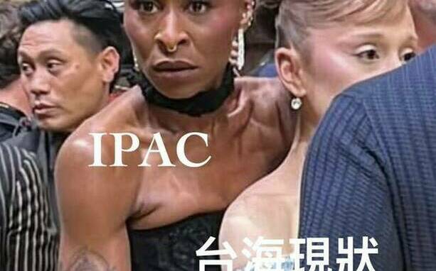 IPAC主席自製《魔法壞女巫2》紅毯迷因 　神比喻辛西婭保護亞莉安娜為台海現狀撐腰 