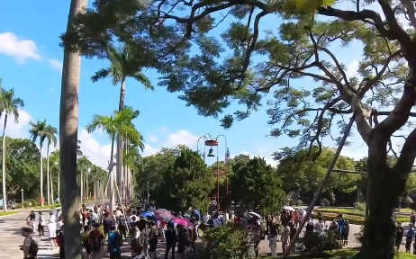 500人等「台大生發雞排」卻撲空!教授批盲從心態:讓「柯、黃、館」可呼風喚雨